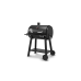 Broil King Regal Smoke 500 