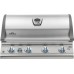 Napoleon BILEX605RBIPSS-CE Built In Gas BBQ - Free Cover